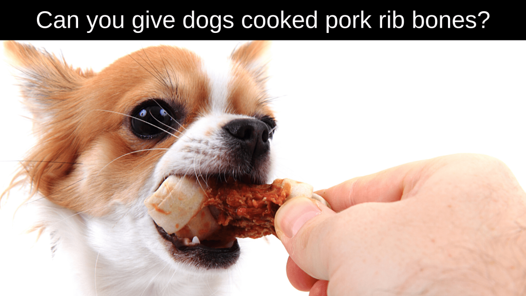 Can Dogs Eat Pork Rib Bones?