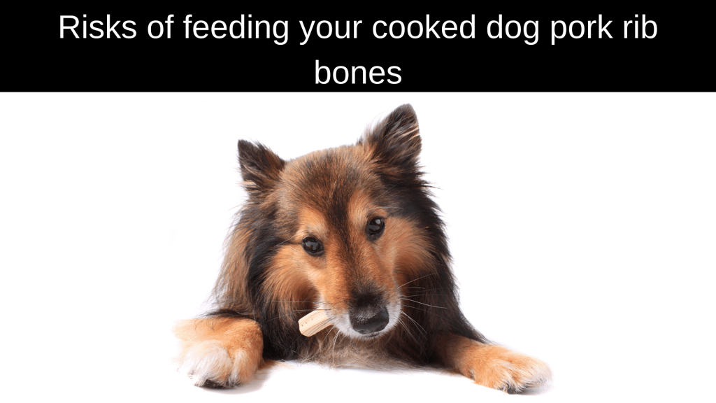 Can Dogs Eat Pork Rib Bones?