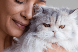 Bond With Your Cat