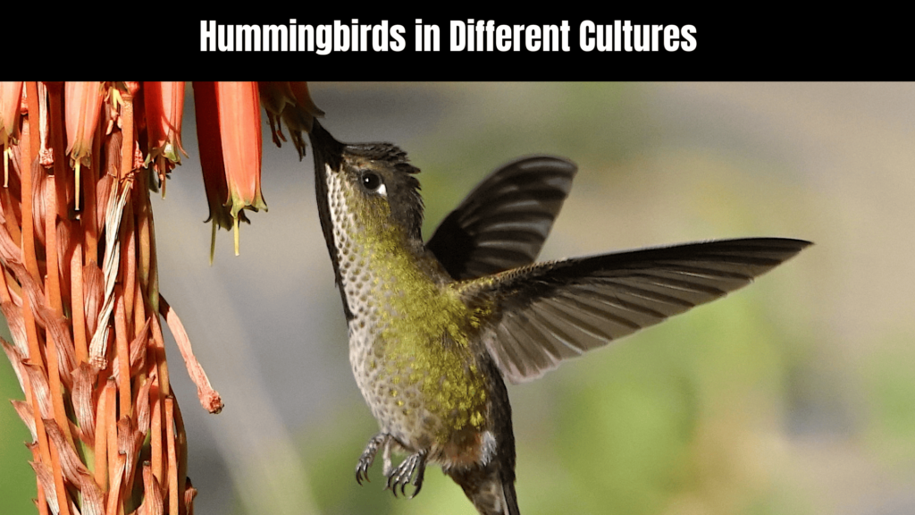 Spiritual Meaning of Hummingbirds