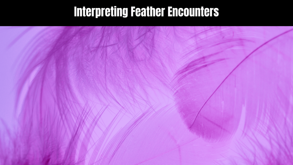 The Spiritual Meaning of Feathers