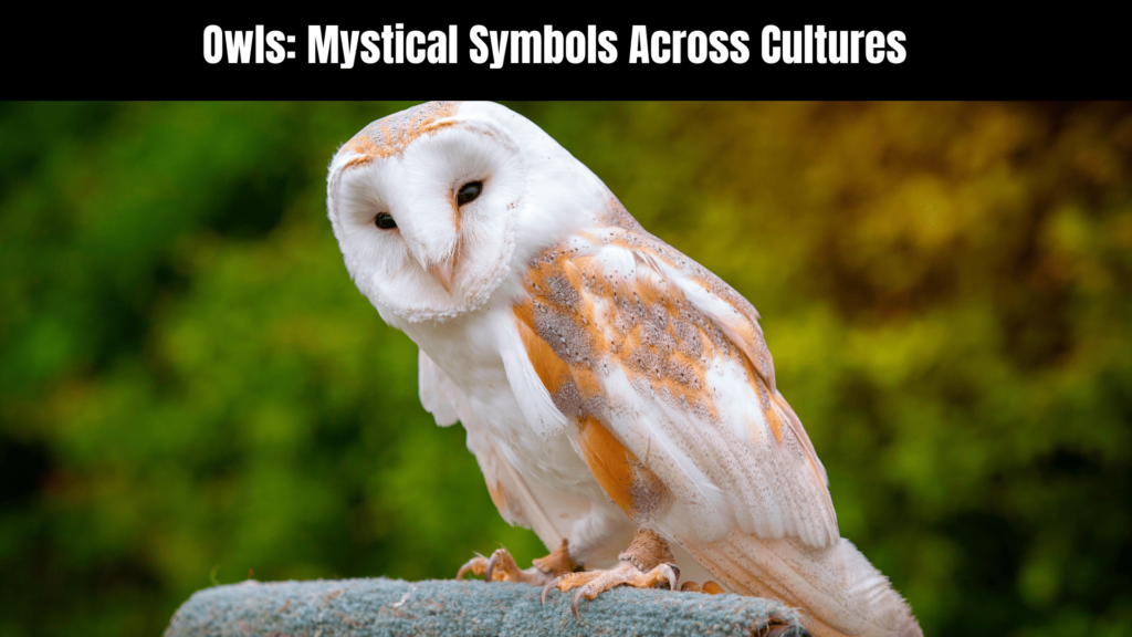 The Spiritual Meaning of Owls in Dreams