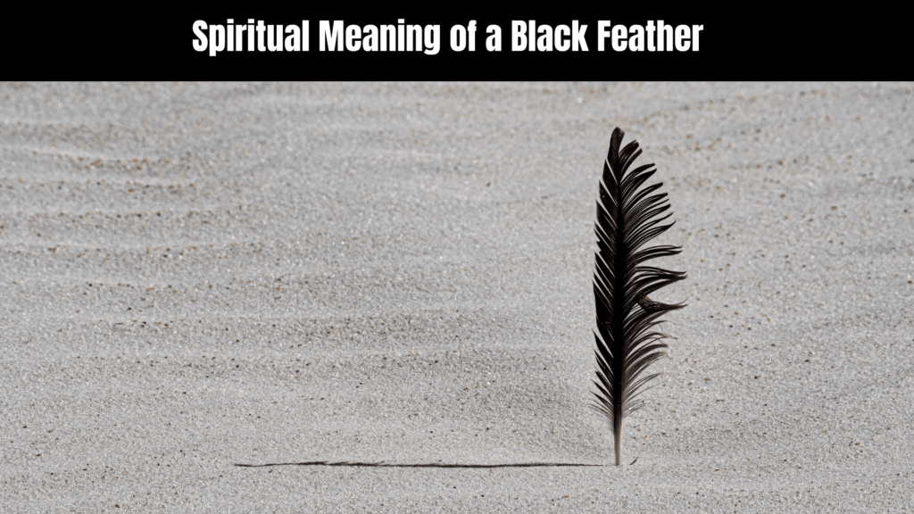 Spiritual Meaning of a Black Feather