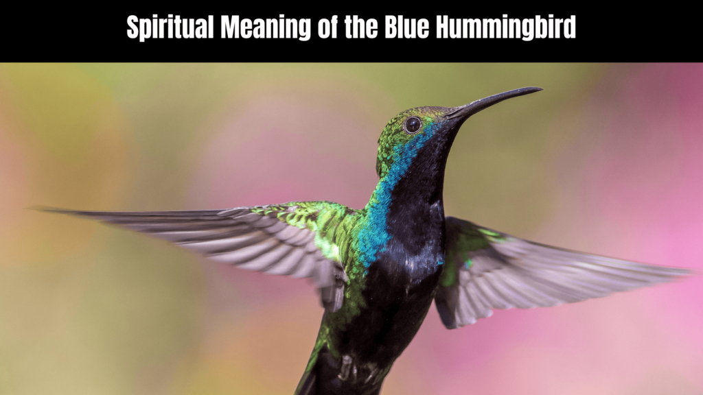 Spiritual Meaning of the Blue Hummingbird