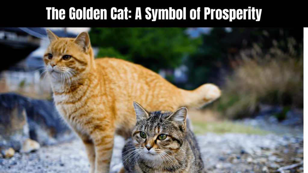 Golden Cat Spiritual Meaning