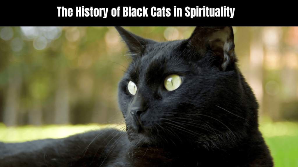 Female Black Cat Spiritual