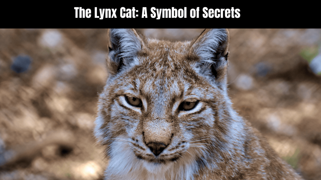 Lynx Cat Spiritual Meaning