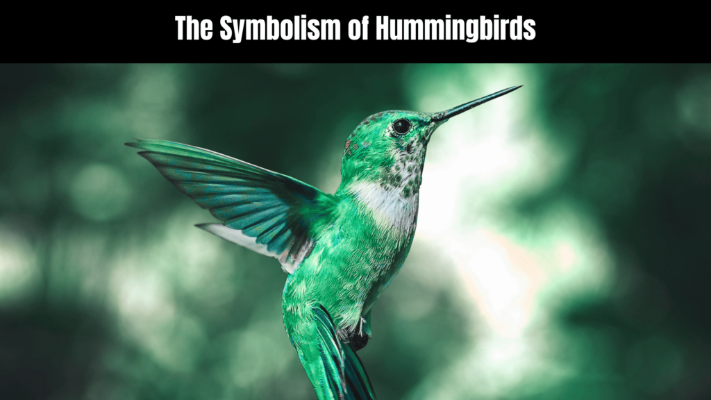 Green Hummingbird Spiritual Meaning