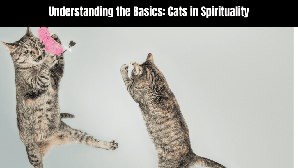 Two Cats Fighting Spiritual Meaning