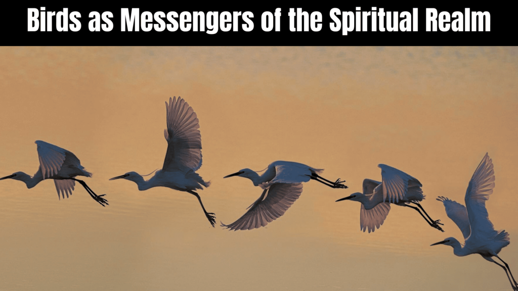 Unlocking the Spiritual Meaning of Birds