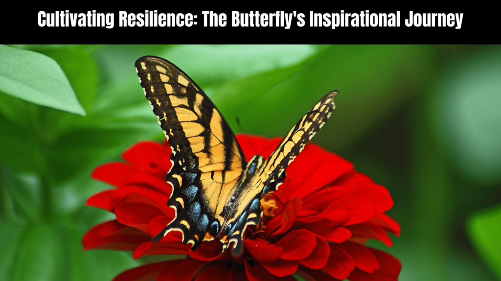 The Enchanting Spiritual Meaning of Butterfly