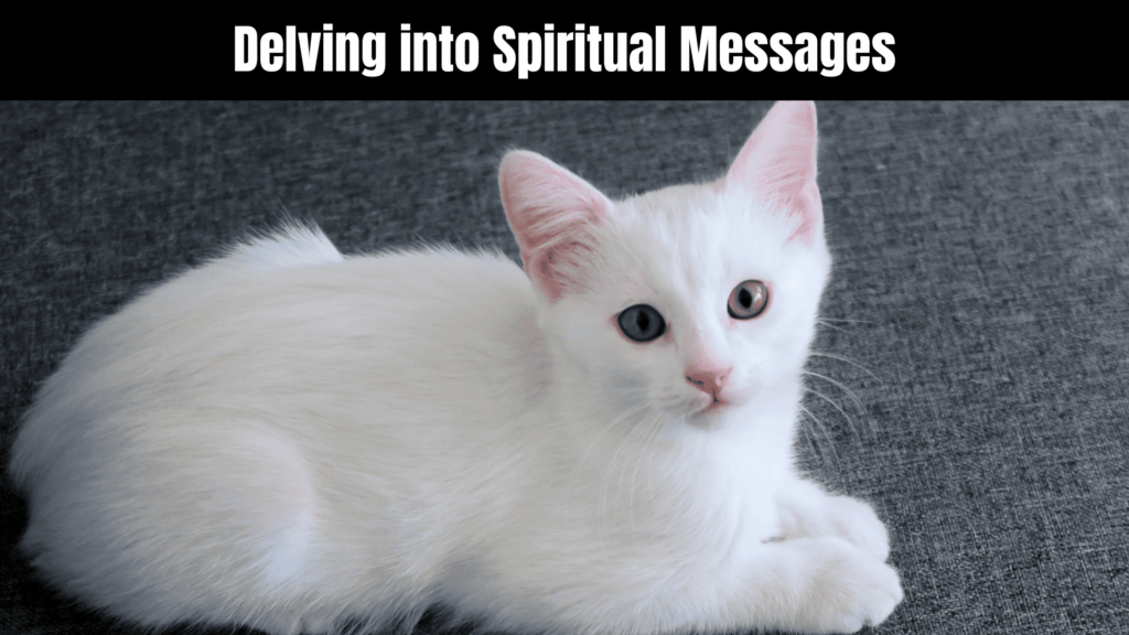 Seeing a White Cat Spiritual Meaning