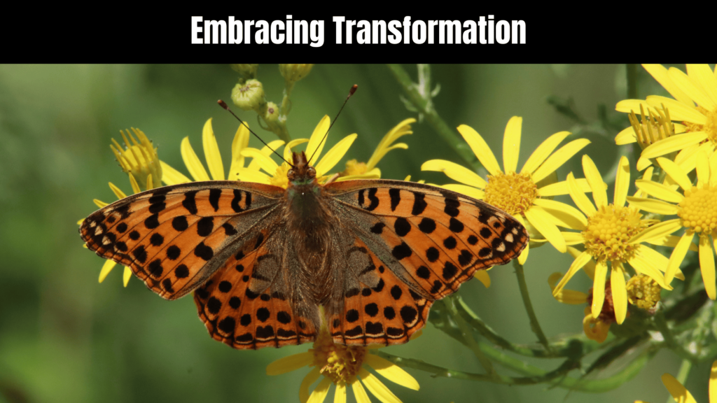 The Enchanting Spiritual Meaning of Butterfly