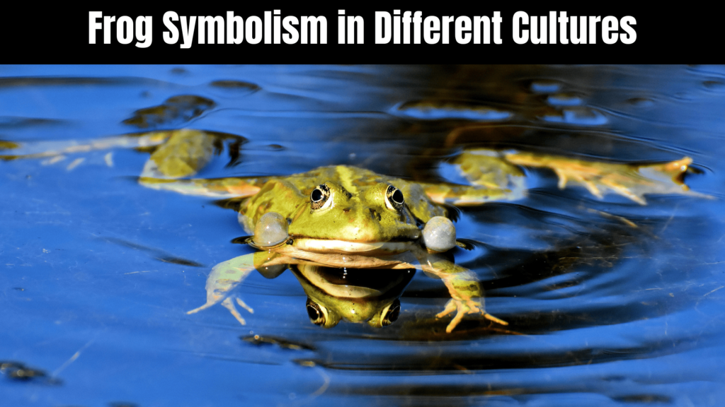 Spiritual Meaning of Frogs