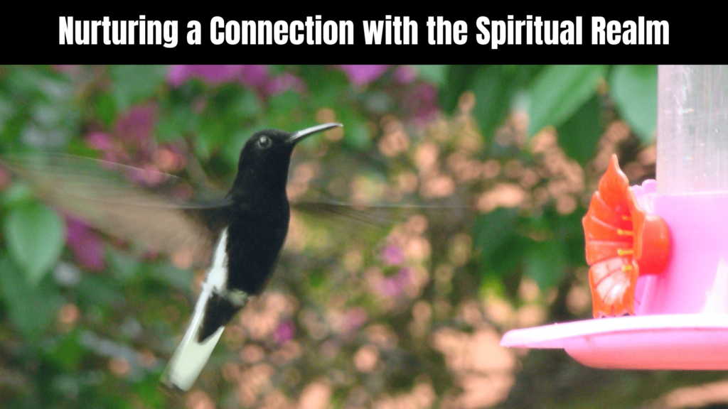 Black Hummingbird Spiritual Meaning