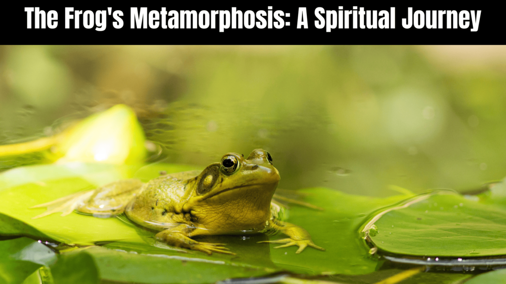 Spiritual Meaning of Frogs