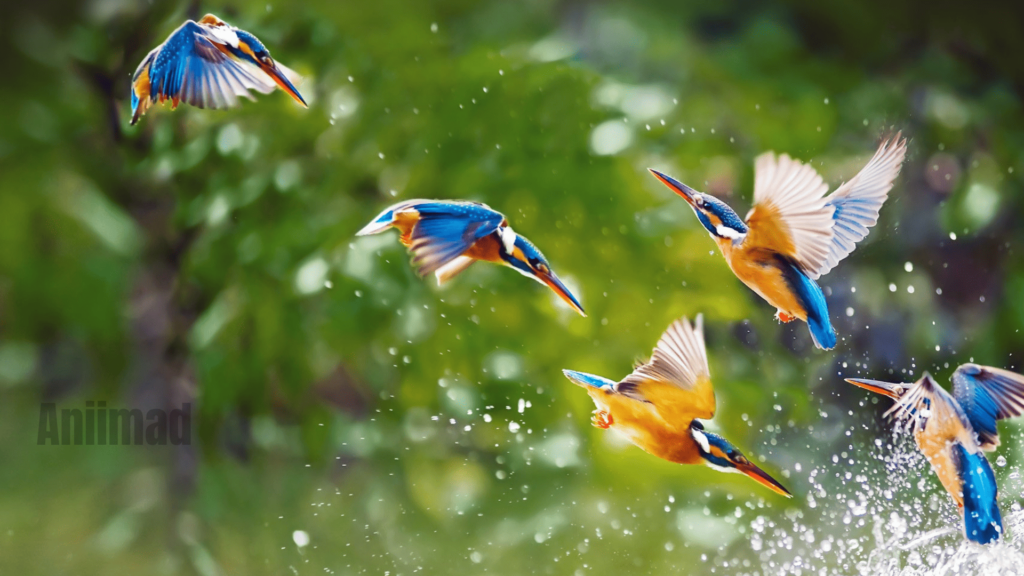 Unlocking the Spiritual Meaning of Birds