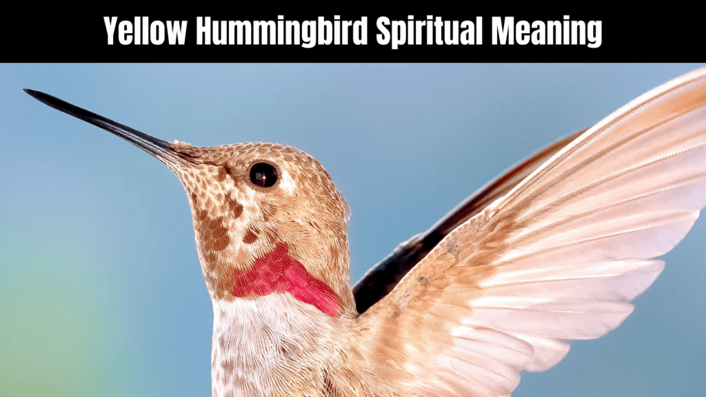 Yellow Hummingbird Spiritual Meaning