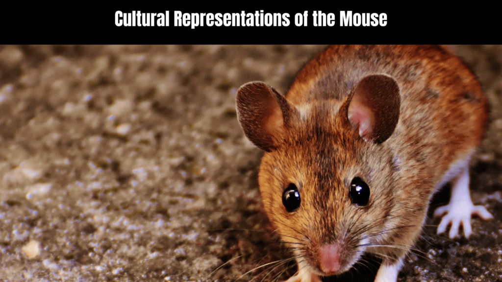 Spiritual Meaning of the Mouse