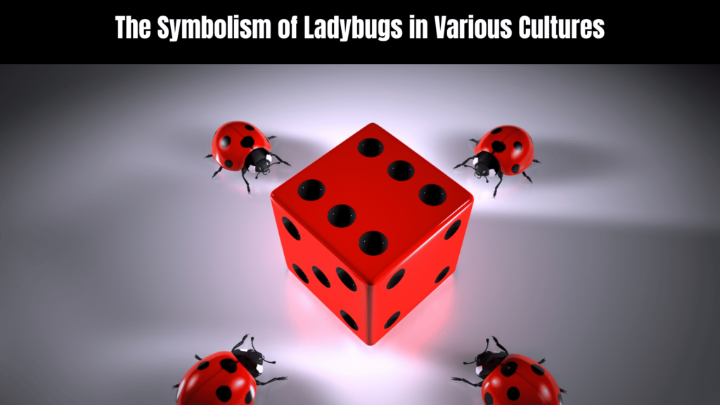 Spiritual Meaning of the Red Ladybug