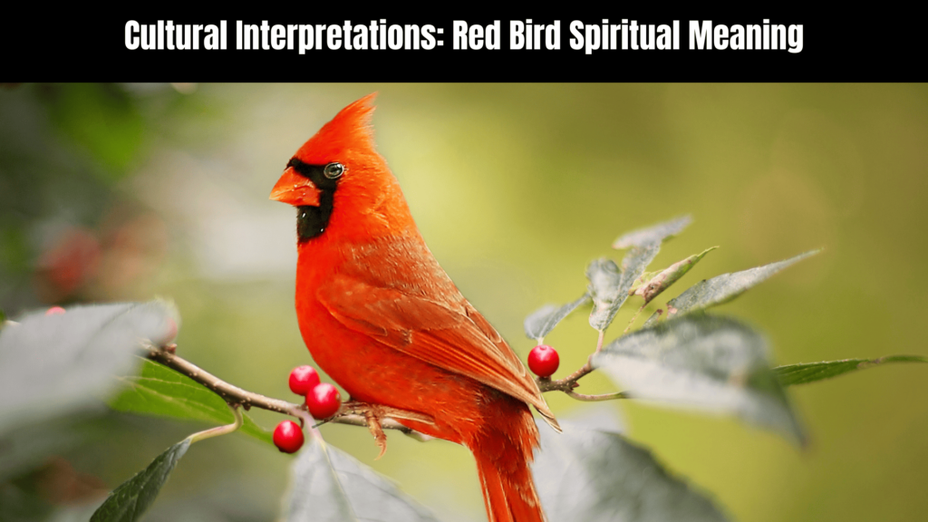 Red Bird Spiritual Meaning