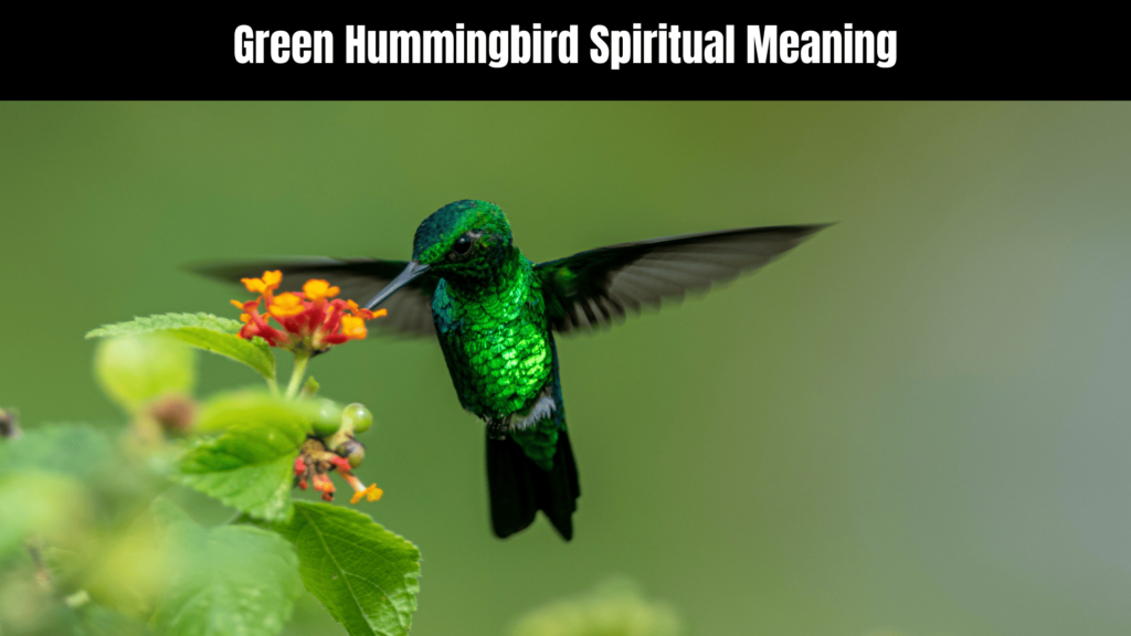 Green Hummingbird Spiritual Meaning