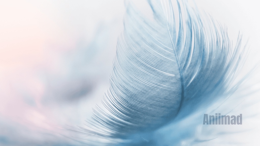 The Spiritual Meaning of Feathers