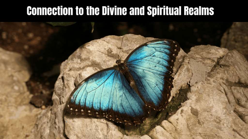 Spiritual Meaning of Blue Butterflies