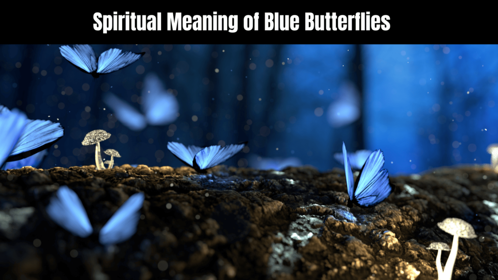 Spiritual Meaning of Blue Butterflies