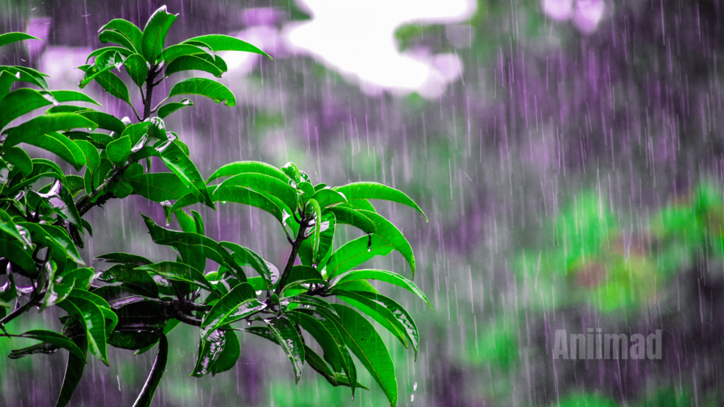 Spiritual Meaning of Rain