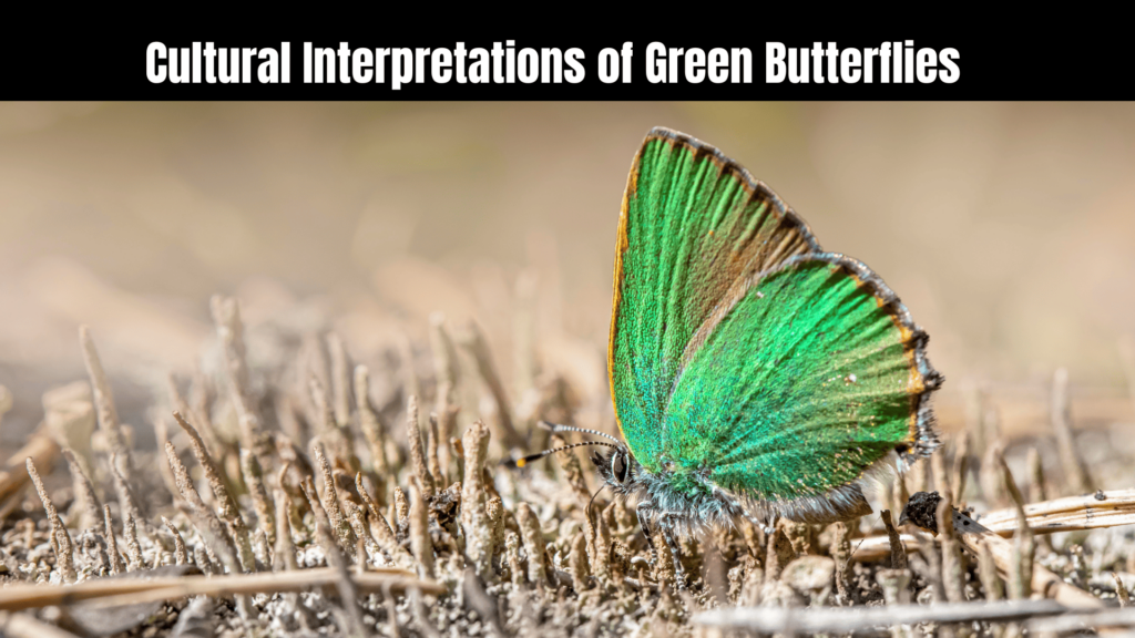 Green Butterfly Spiritual Meaning