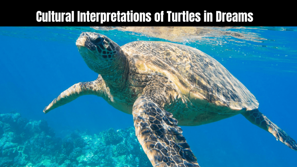 Spiritual Meaning of Turtles in Dreams