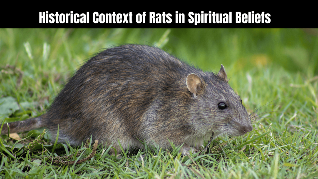 spiritual meaning of a rat