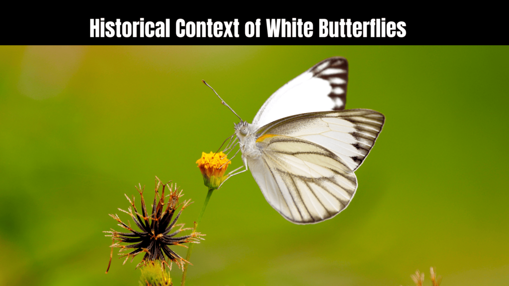 White Butterfly Spiritual Meaning