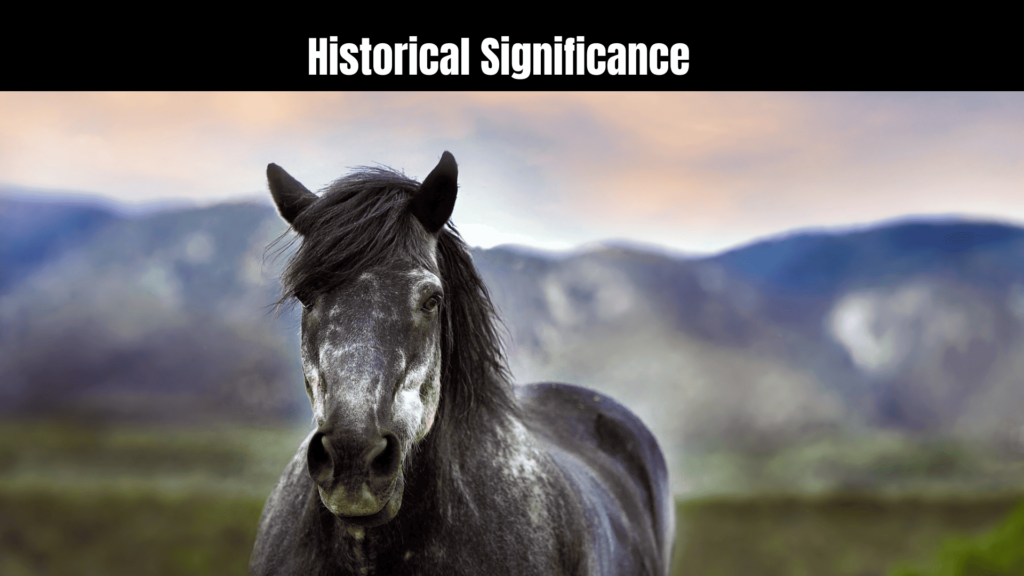 Spiritual Meaning of Black Horse