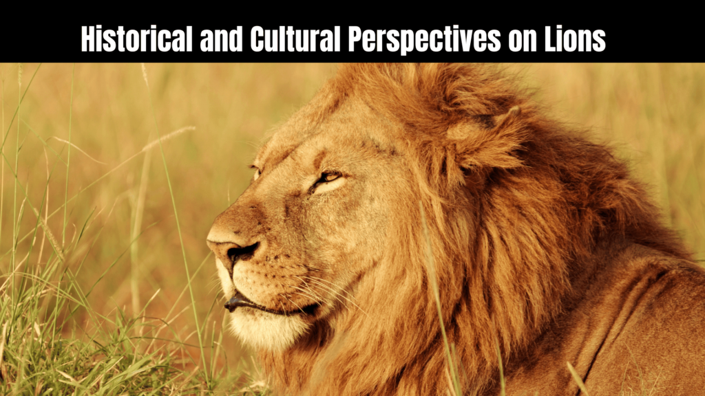 The Spiritual Meaning of a Lion