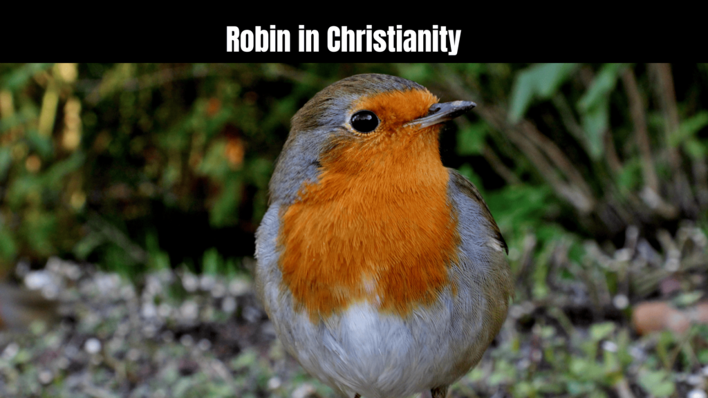 Robin Spiritual Meaning