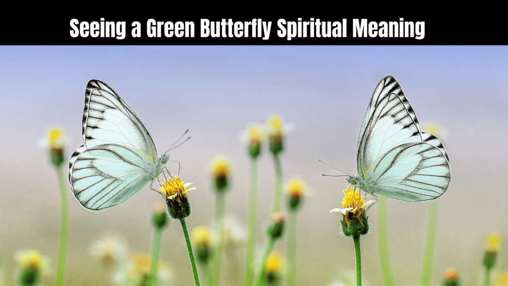 Green Butterfly Spiritual Meaning