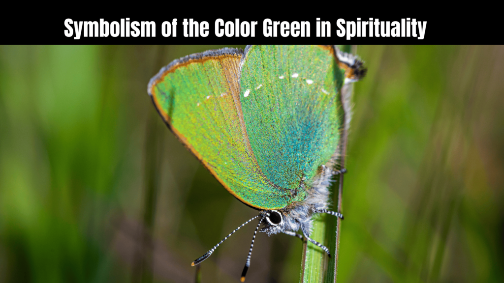 Green Butterfly Spiritual Meaning