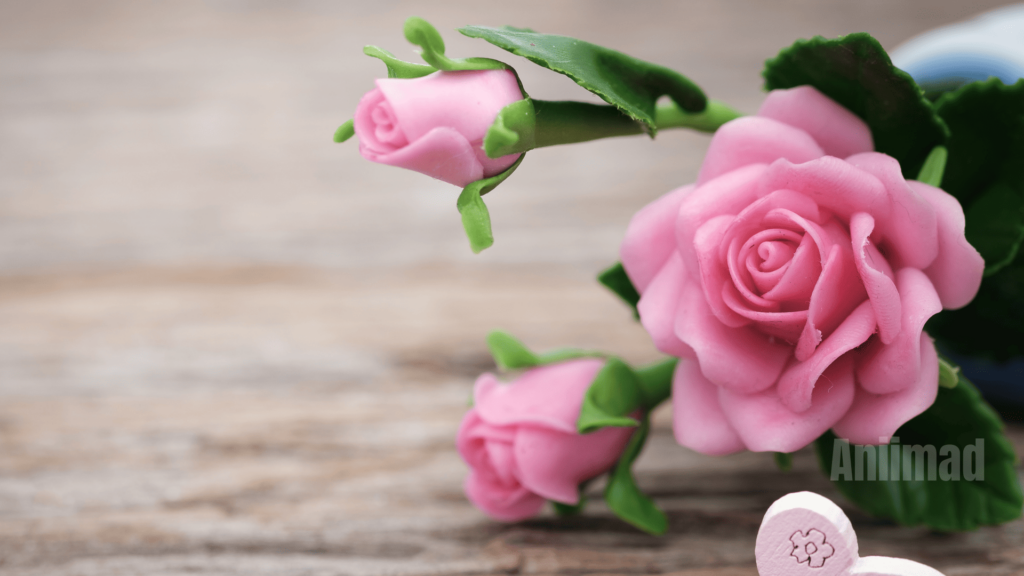 The Spiritual Meaning of Pink Roses