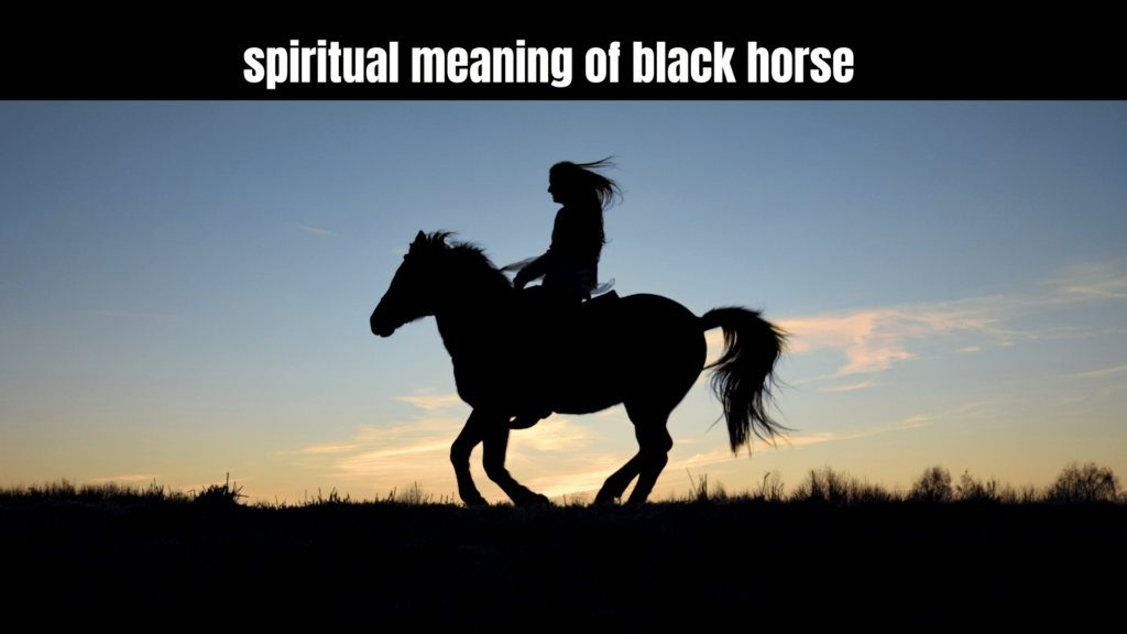 Spiritual Meaning of Black Horse