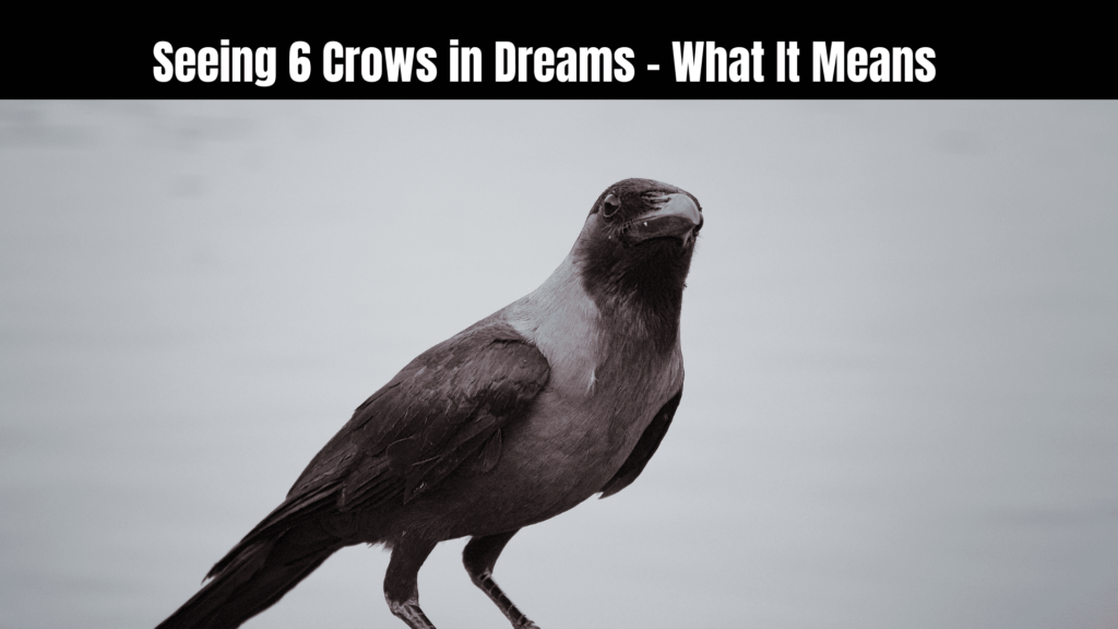 Seeing 6 Crows Spiritual Meaning