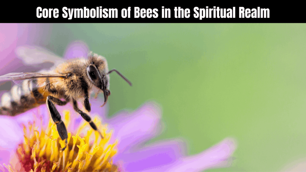 Spiritual Meaning of Bees