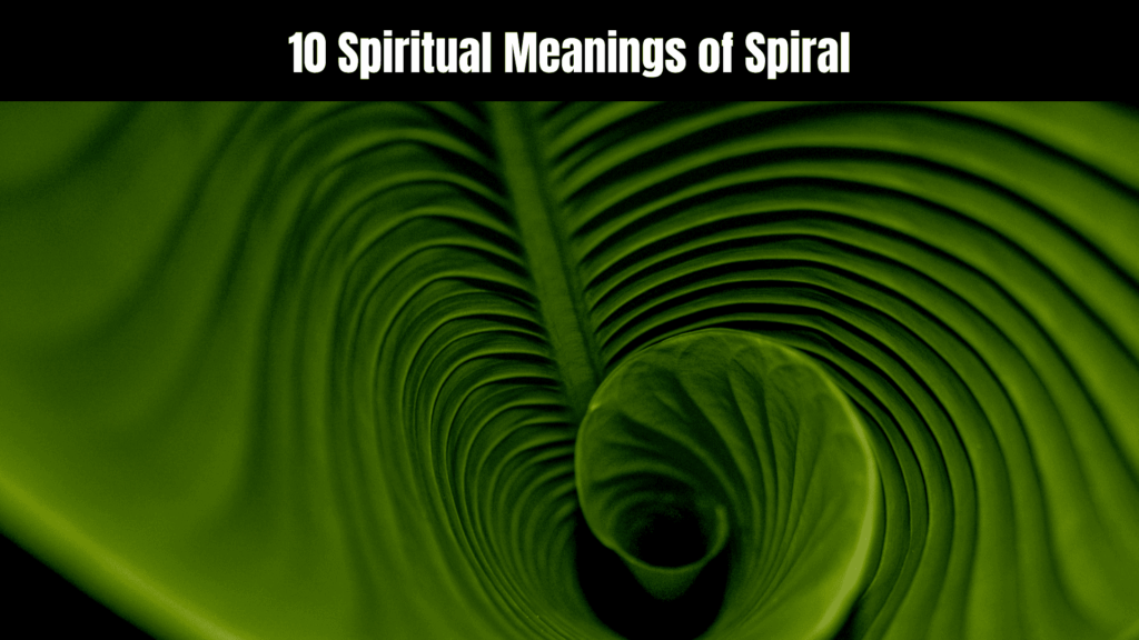 10 Spiritual Meanings of Spiral 