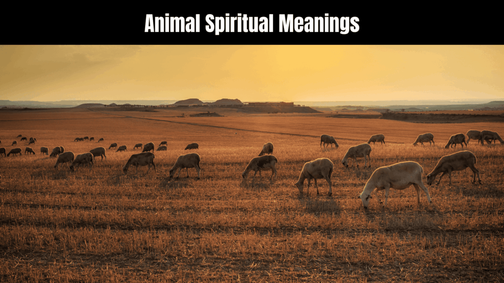 Animal Spiritual Meanings