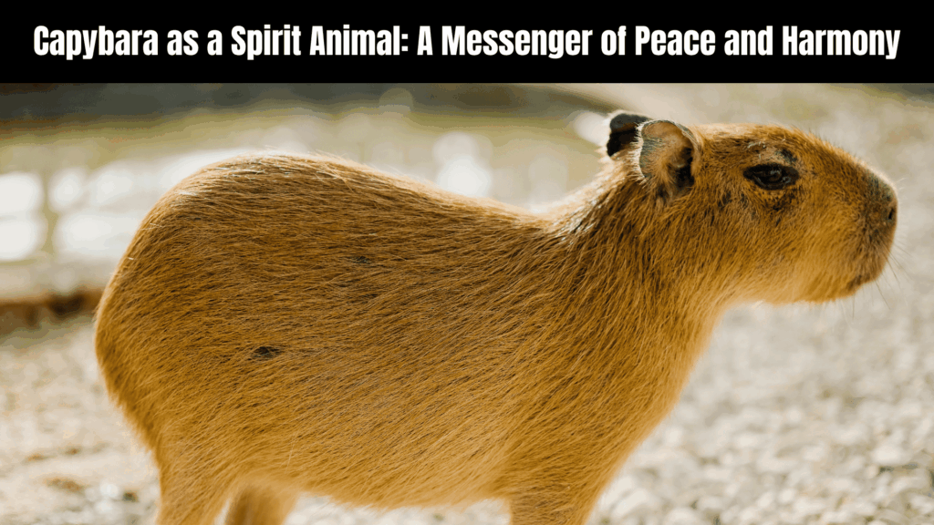 Spiritual Meanings of Capybara
