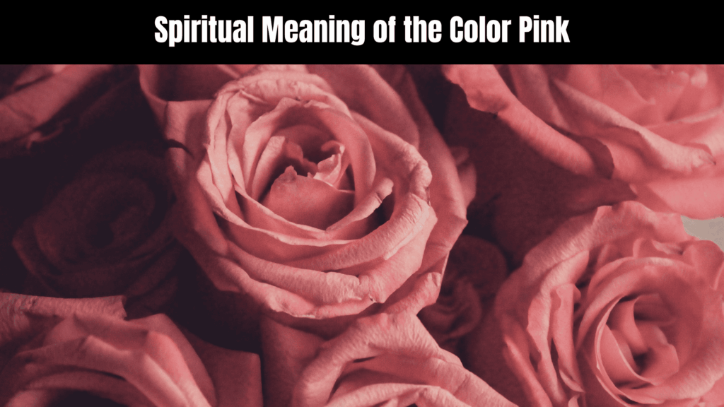 Spiritual Meaning of the Color Pink
