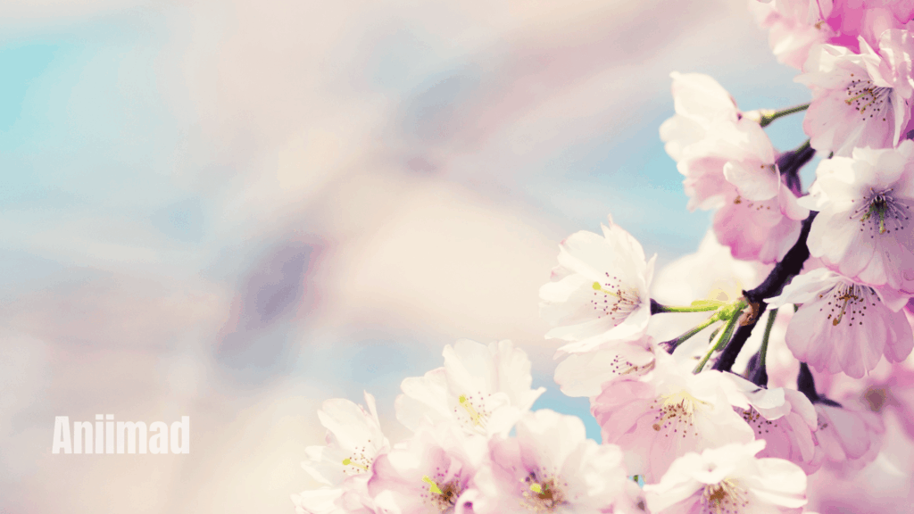 Spiritual Meanings of Flowers