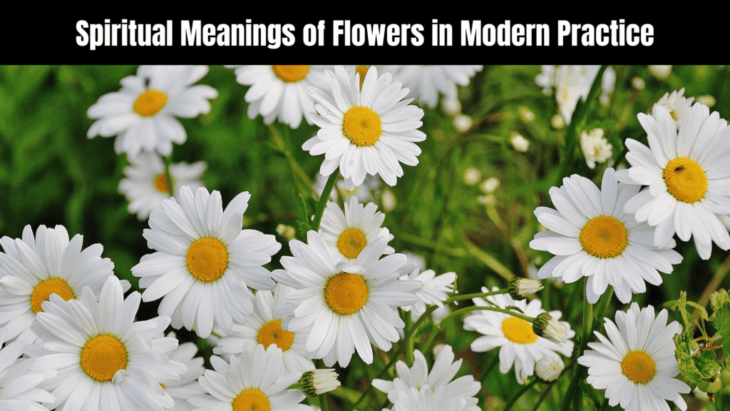 Spiritual Meanings of Flowers