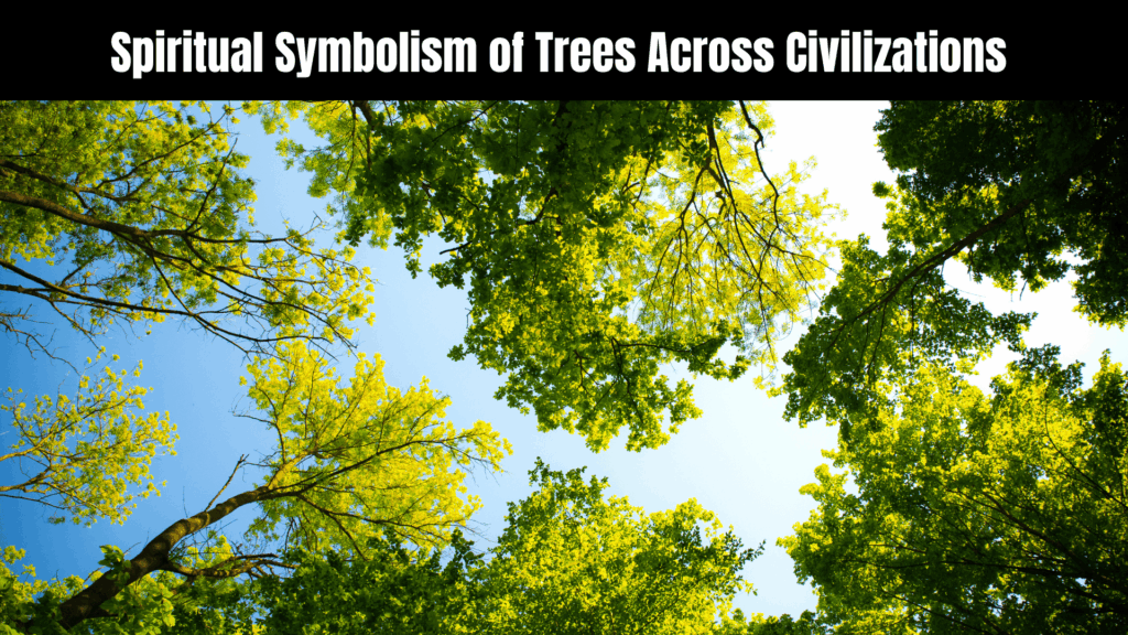 Spiritual Meanings of Trees
